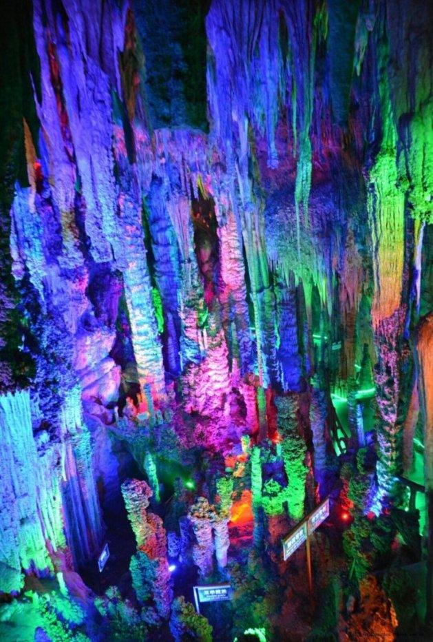 幻兽帕鲁多少钱游戏画面